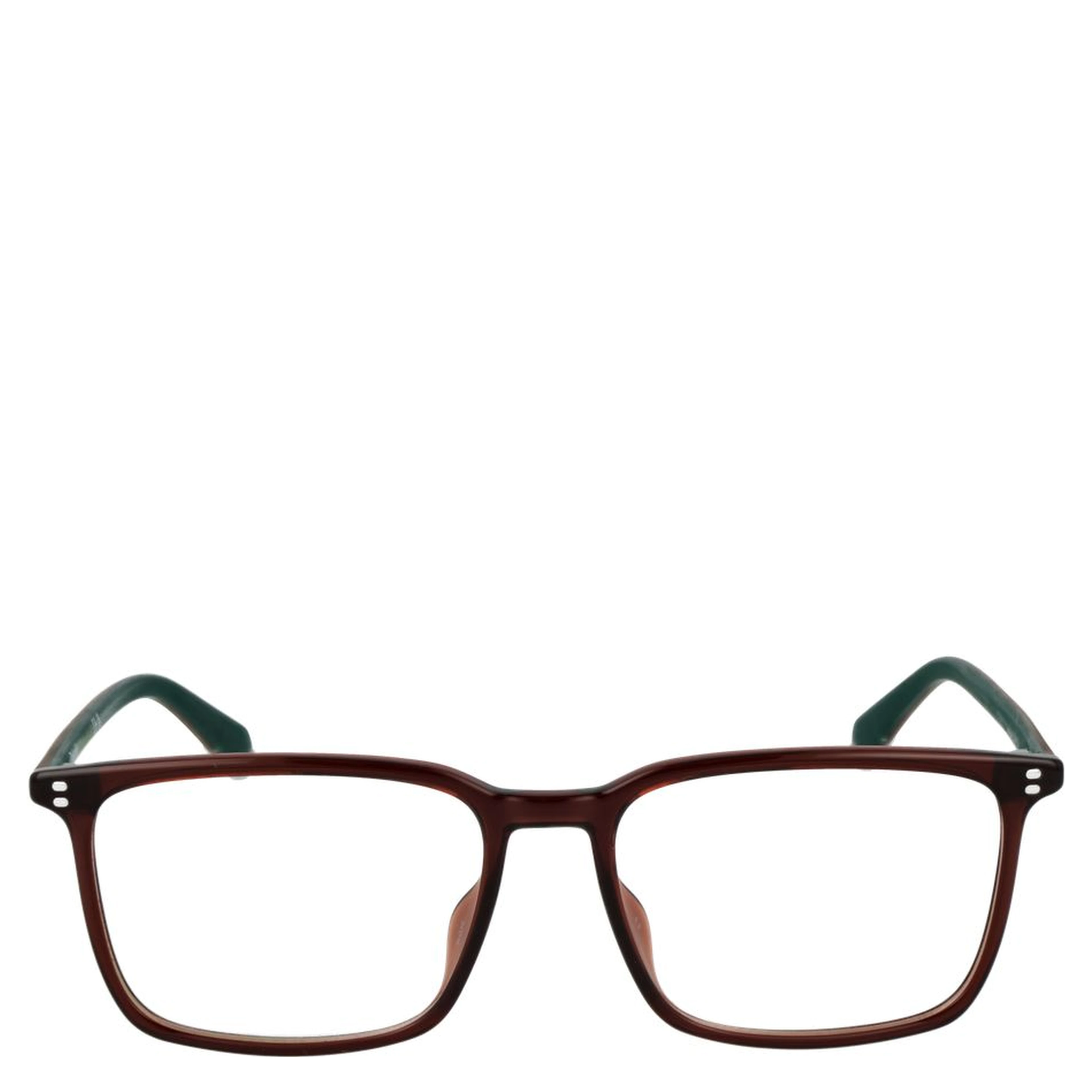 Brown Polyamide Glasses (Frames)