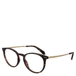 Brown Titanium Glasses (Frames)