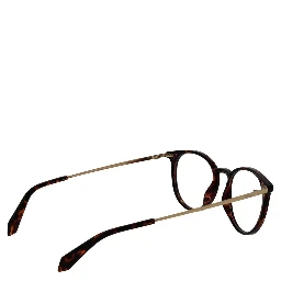 Brown Titanium Glasses (Frames)