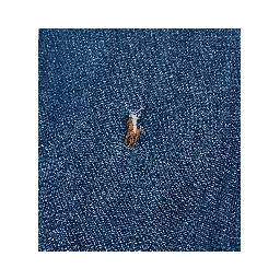 Polo Ralph Lauren Shirts Blue