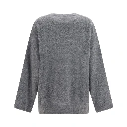 Gray Alpaca Vicugna Pacos Sweatshirt