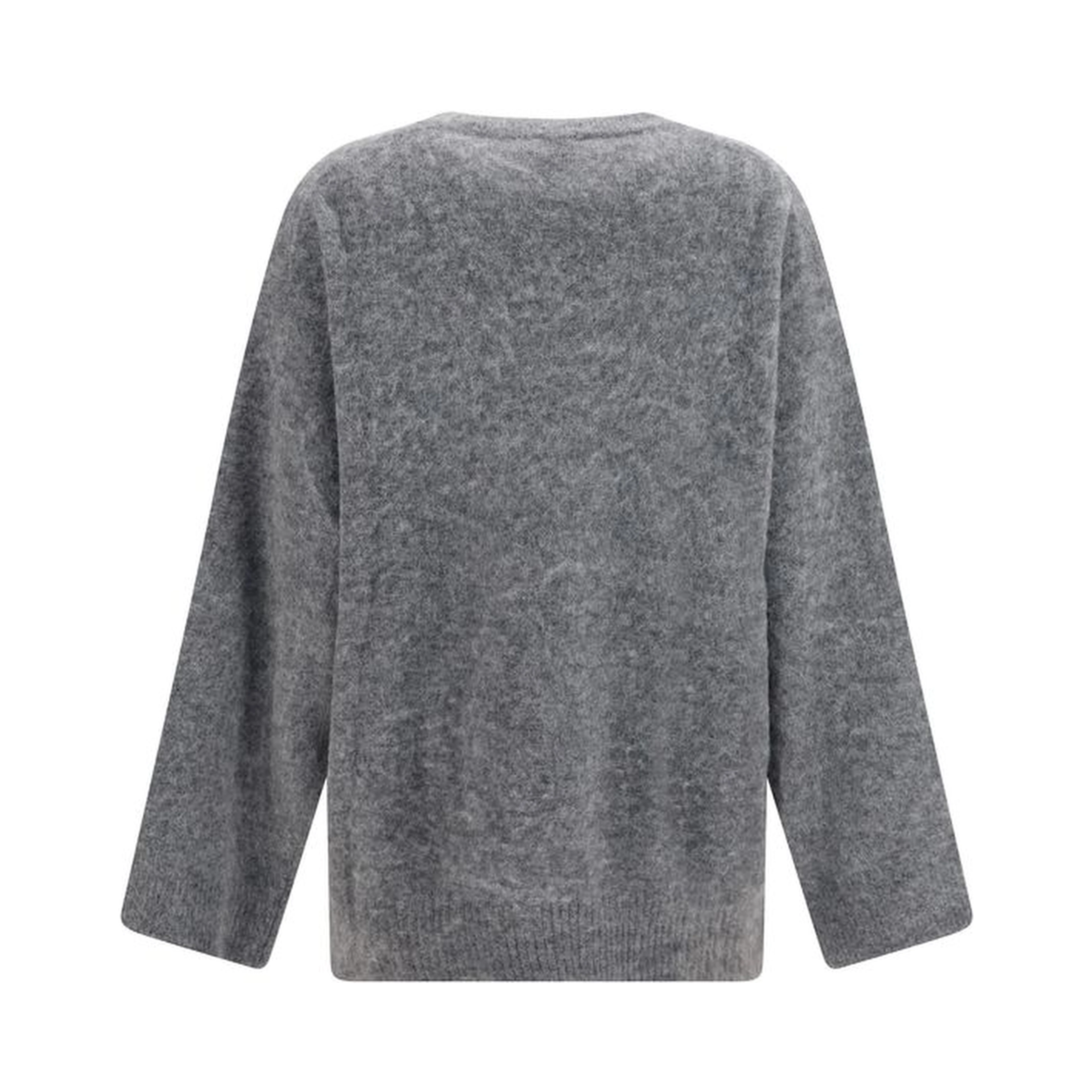 Gray Alpaca Vicugna Pacos Sweatshirt