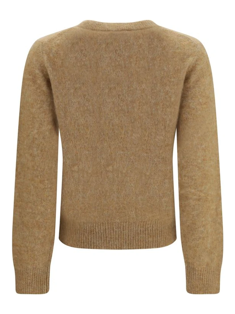 Beige Alpaca Vicugna Pacos Sweatshirt