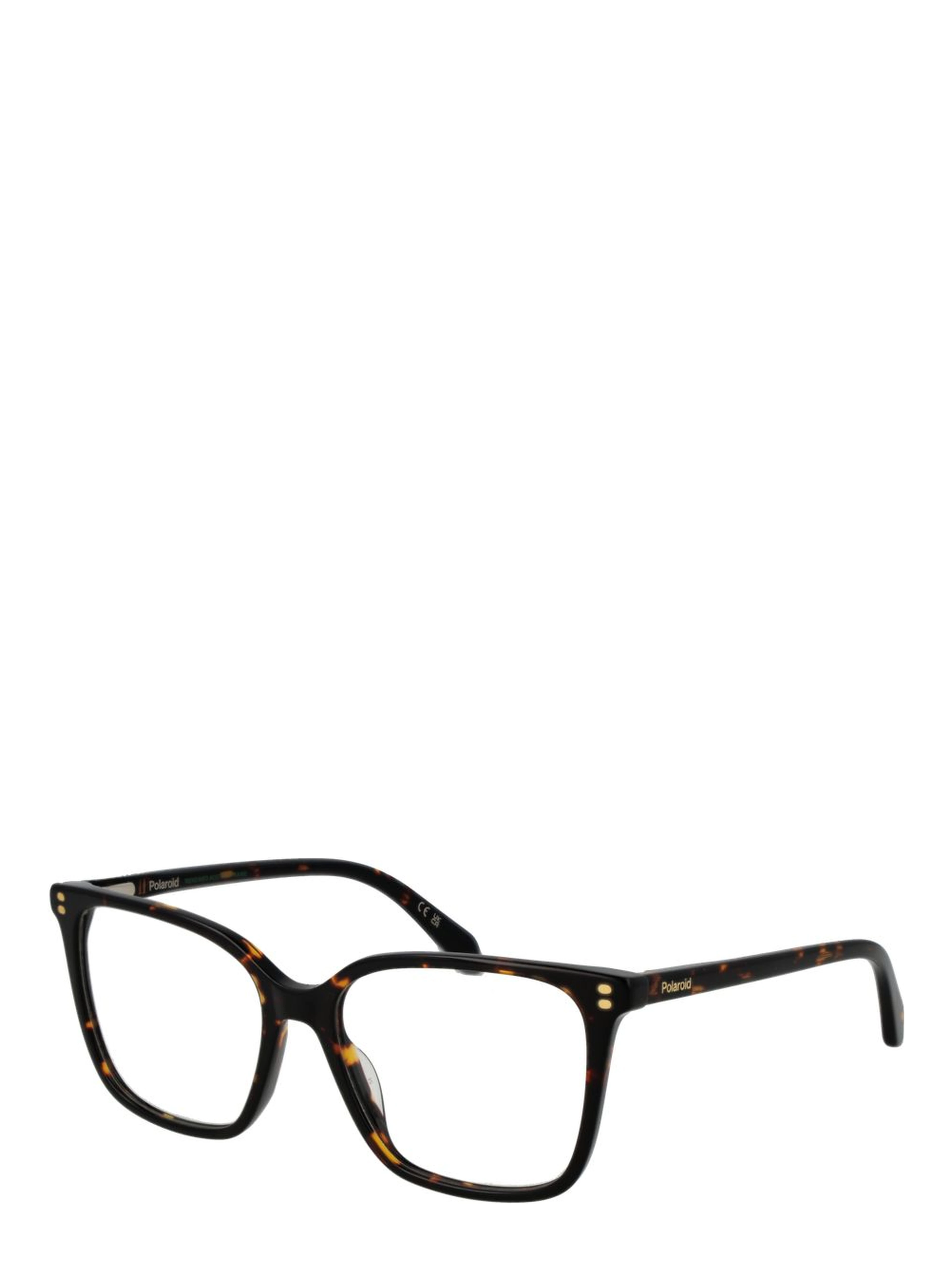 Black Acetate Glasses (Frames)
