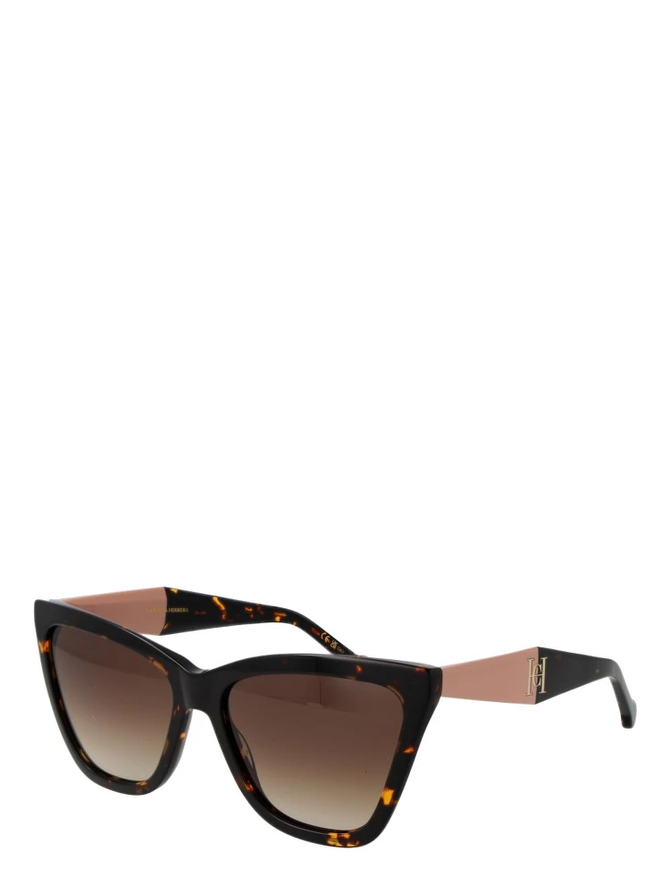 Brown Acetate Sunglasses