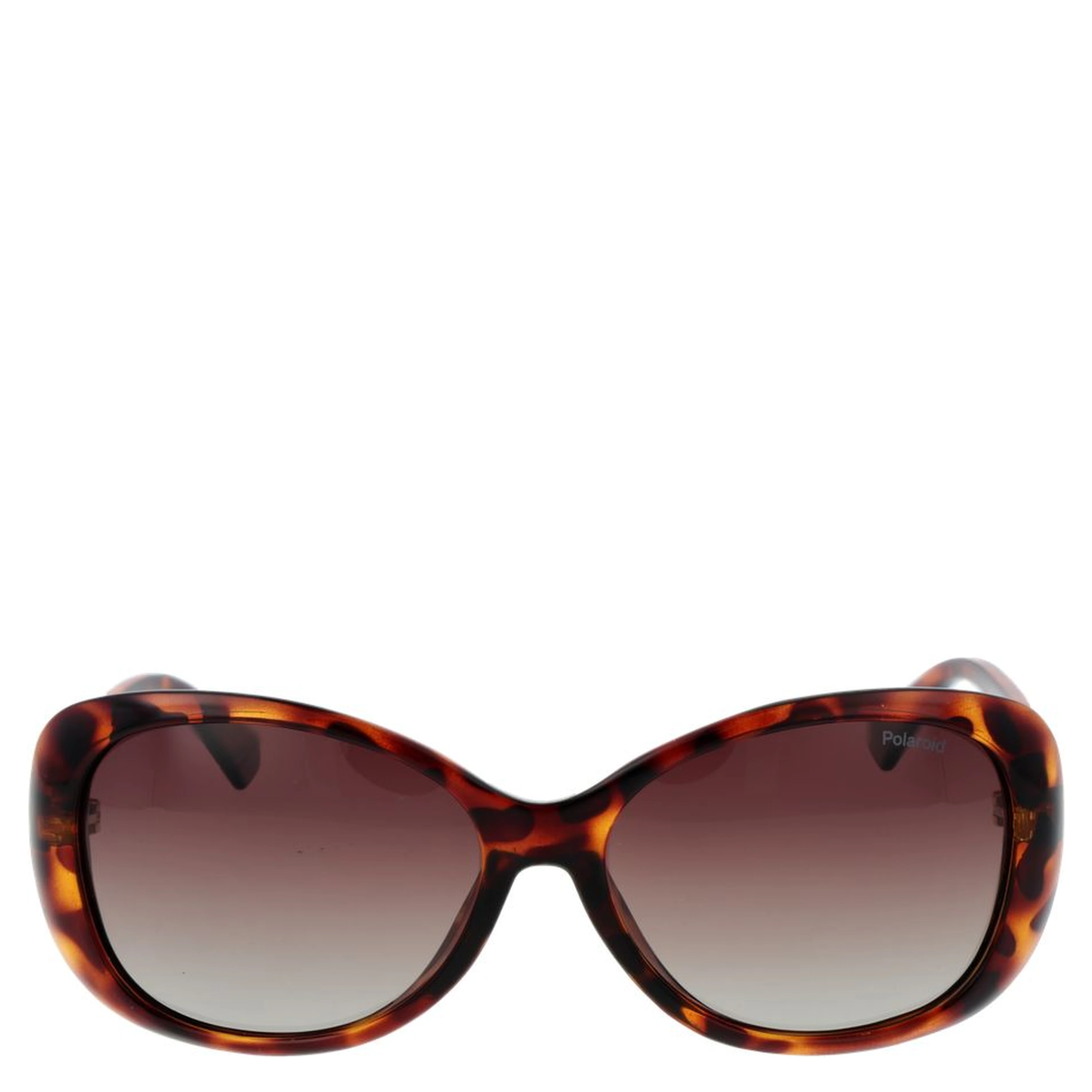 Brown Plastic Sunglasses