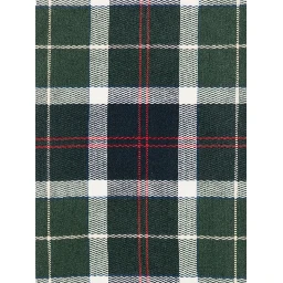 BARBOUR Scarfs