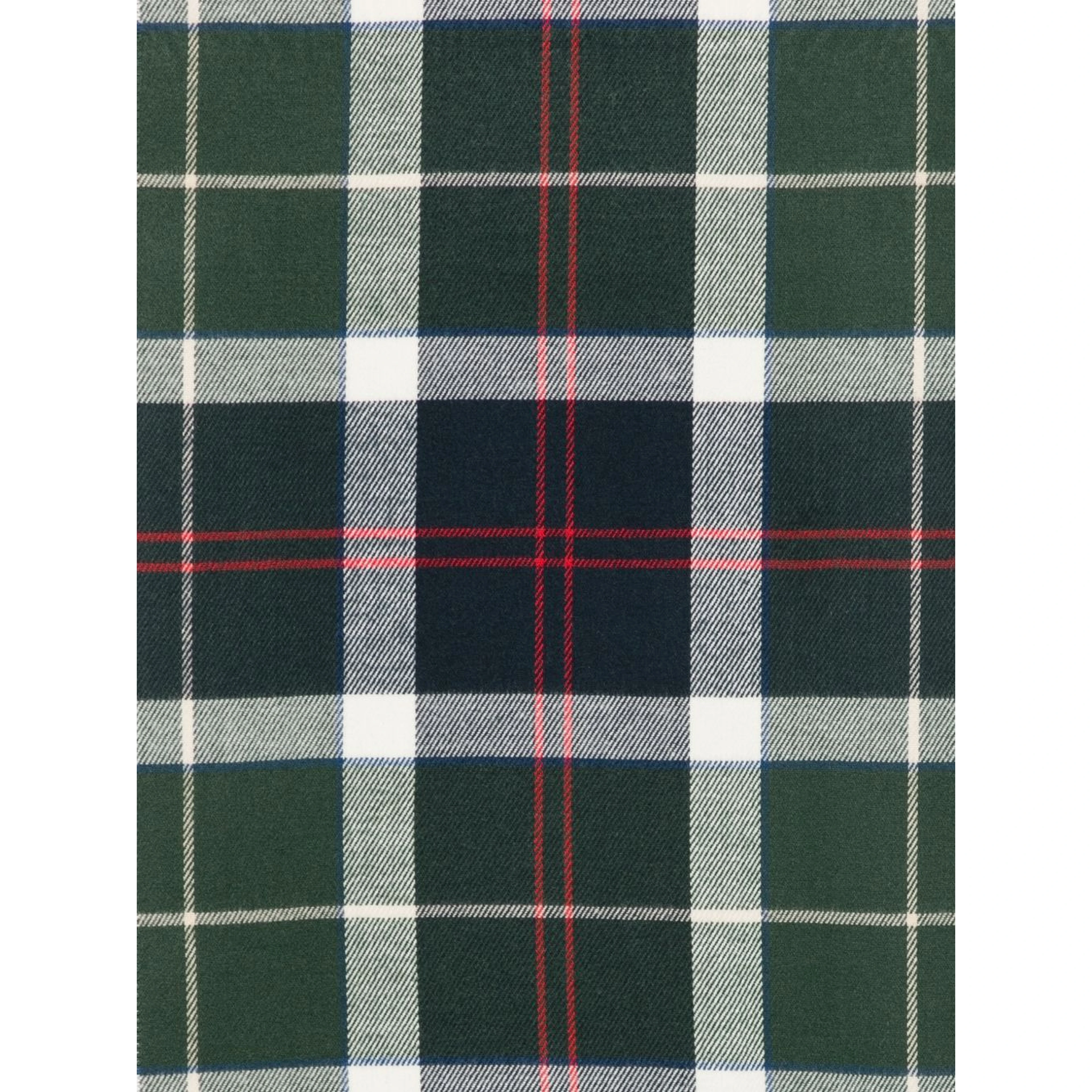 BARBOUR Scarfs