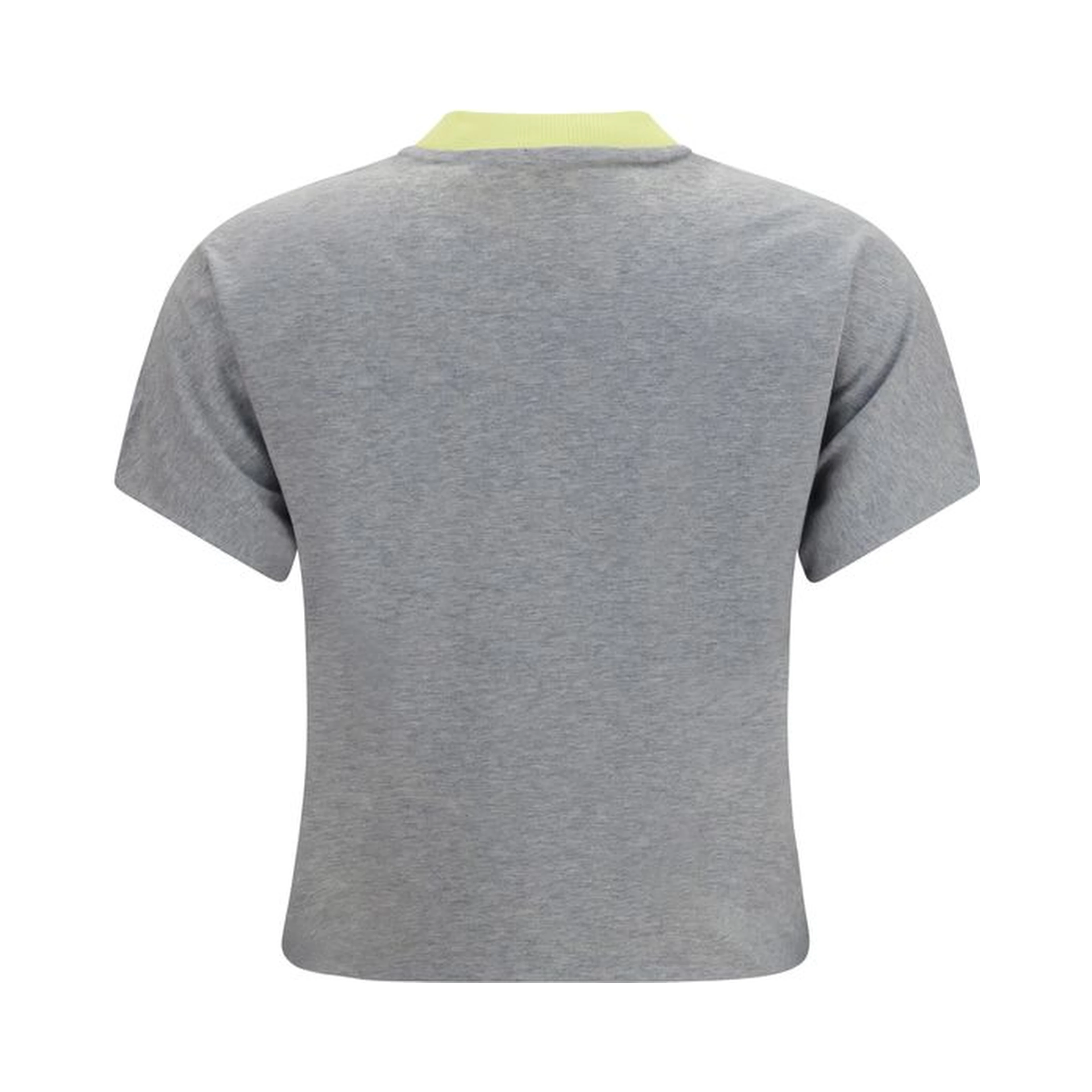 Gray Cotton T-Shirt