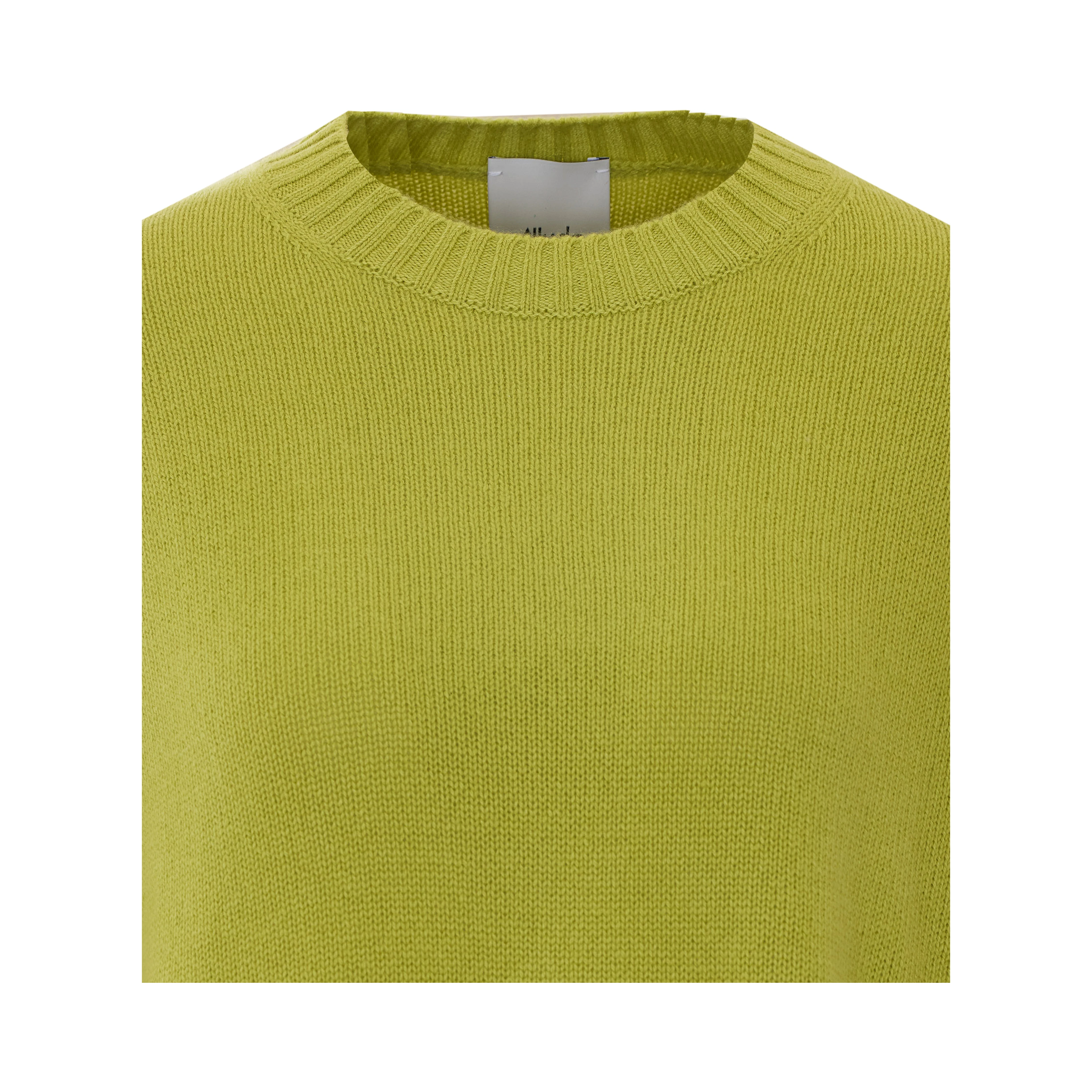 Allude Sweaters