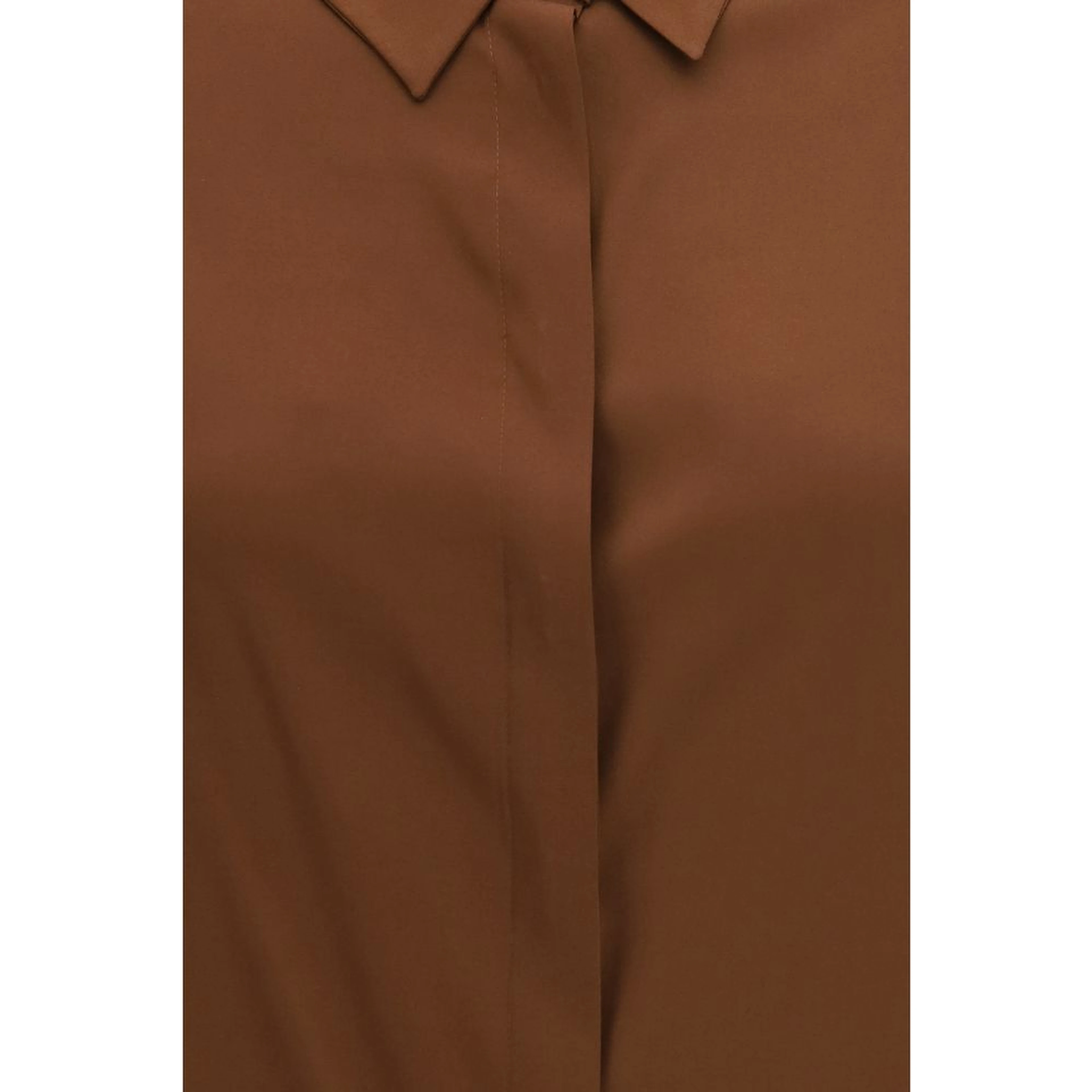Brown Silk Blouse