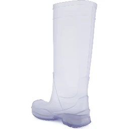 Loewe Boots