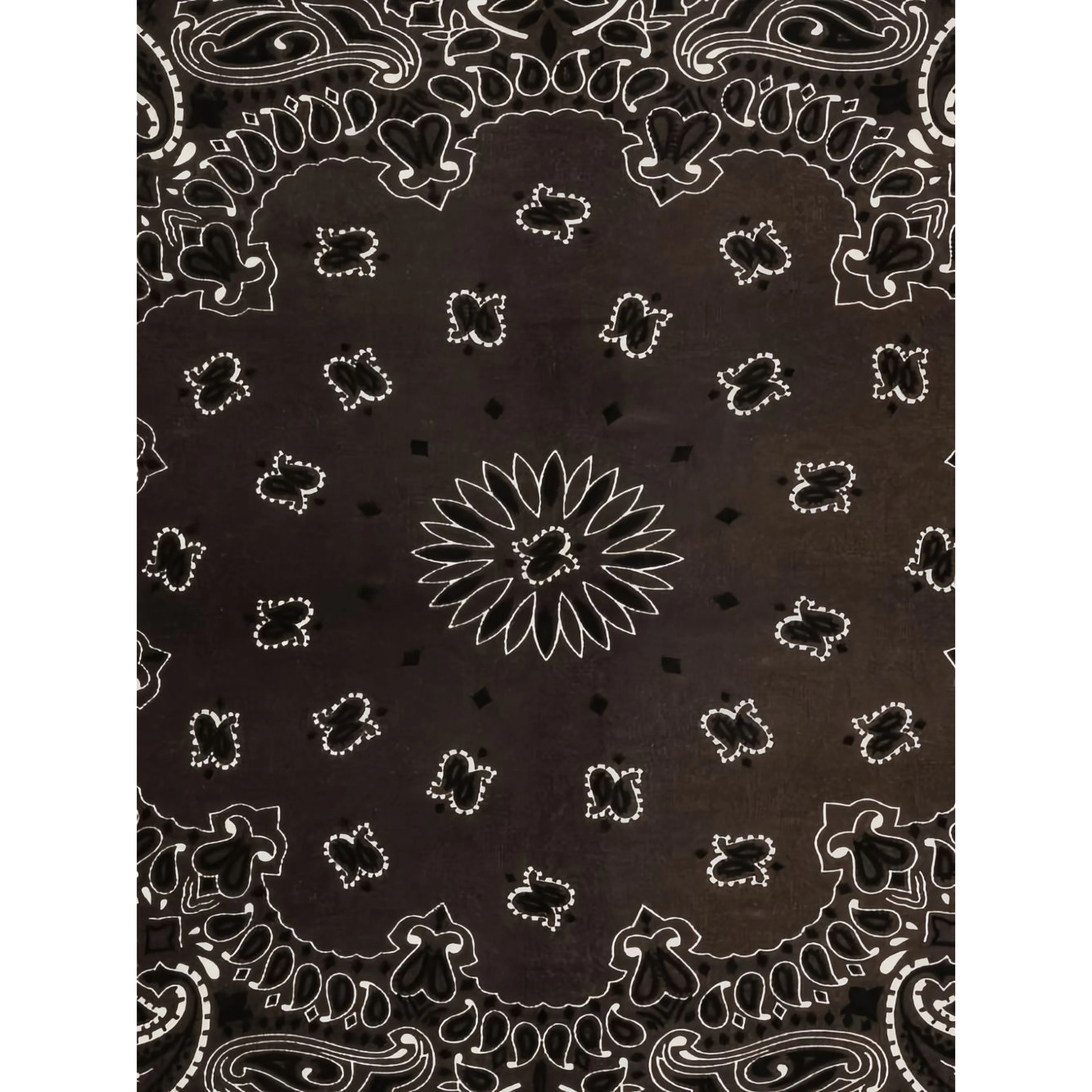 KUJITEN Scarfs