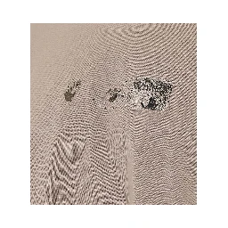 OFF WHITE T-shirts and Polos Beige