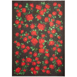 Dolce & Gabbana Scarfs