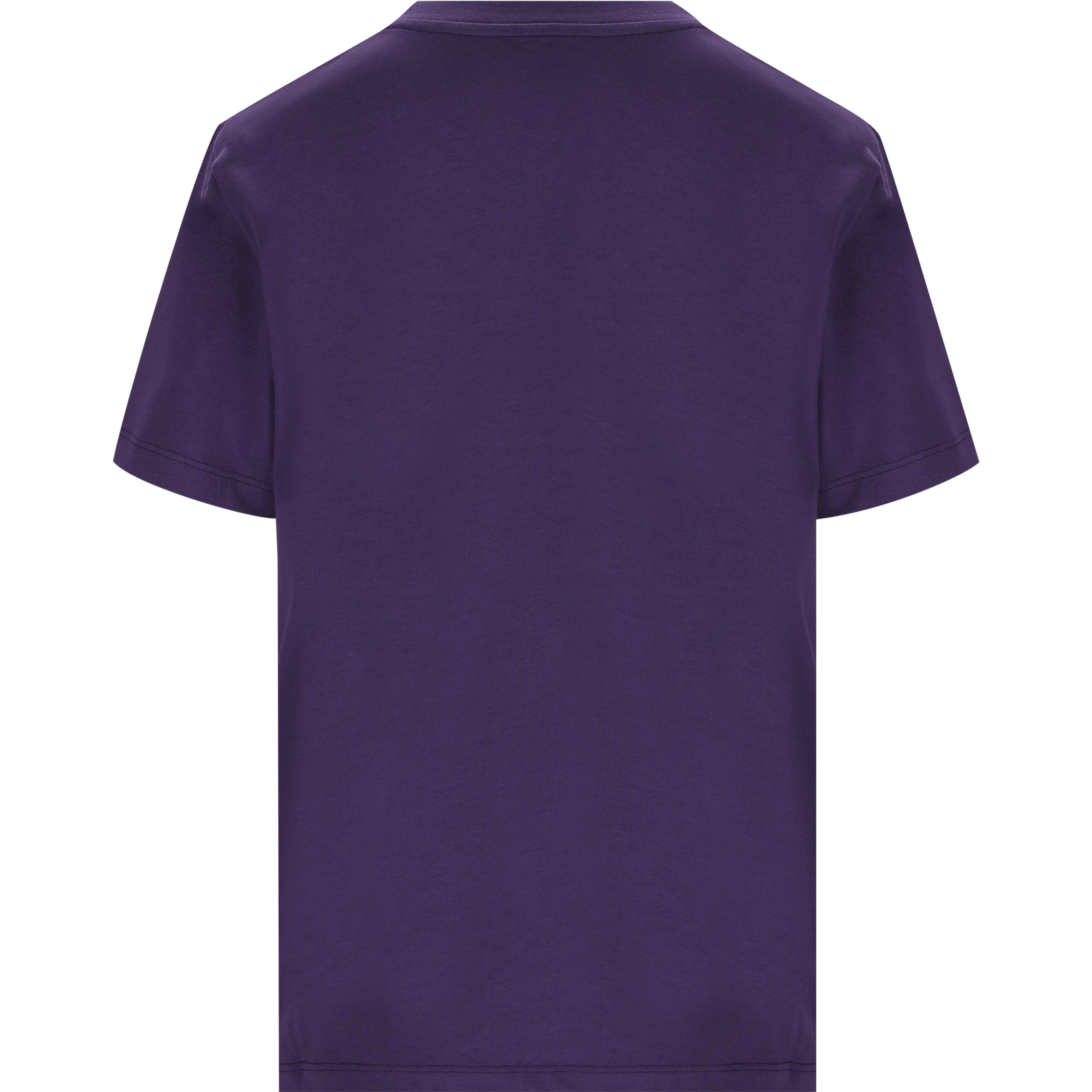 Loewe T-shirts and Polos