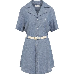 Celine Denim Dress