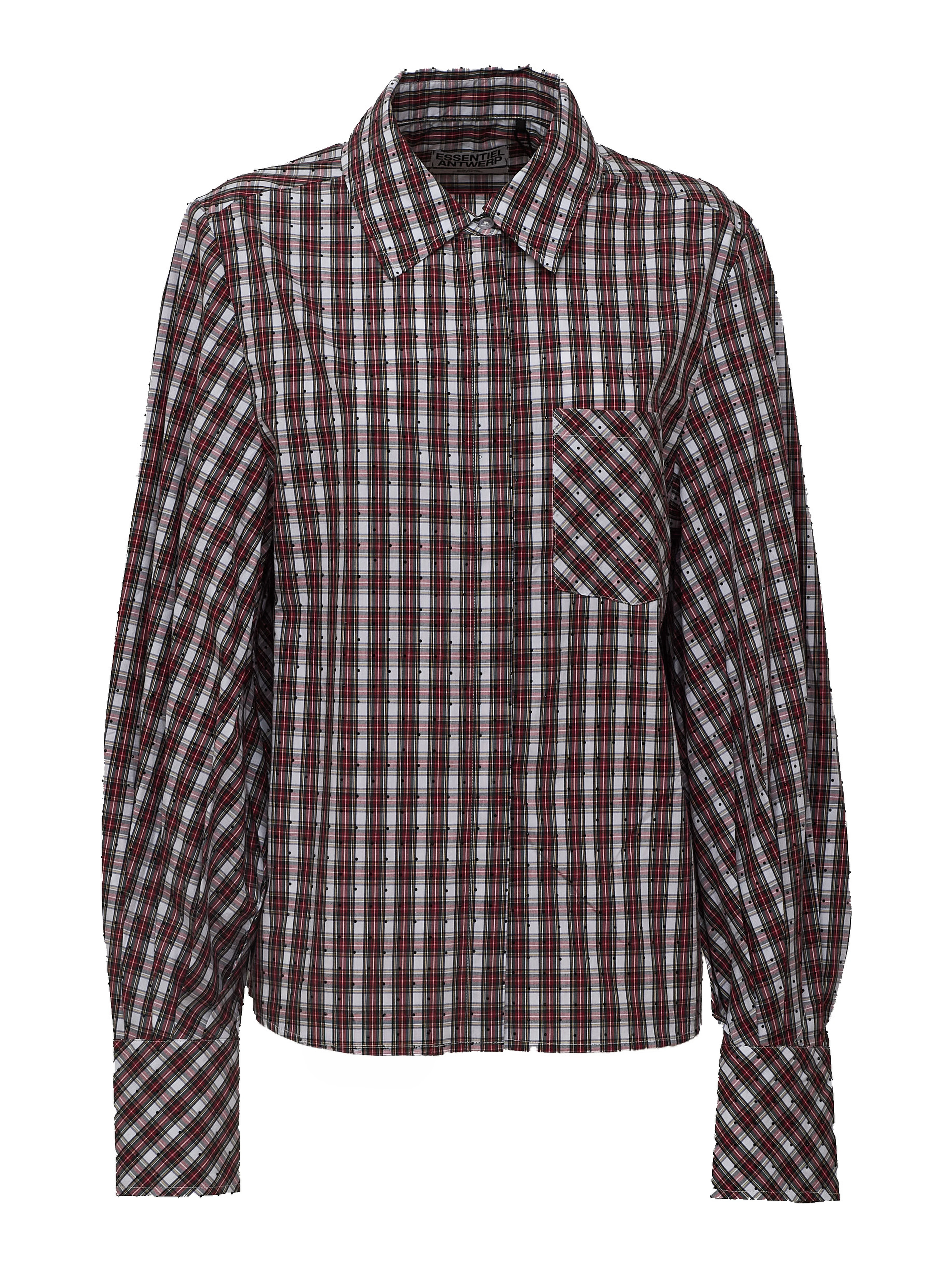 Kalmia Voluminous Sleeve Shirt