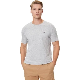 Gray Cotton T-Shirt
