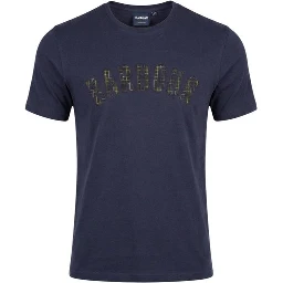 Blue Cotton T-Shirt
