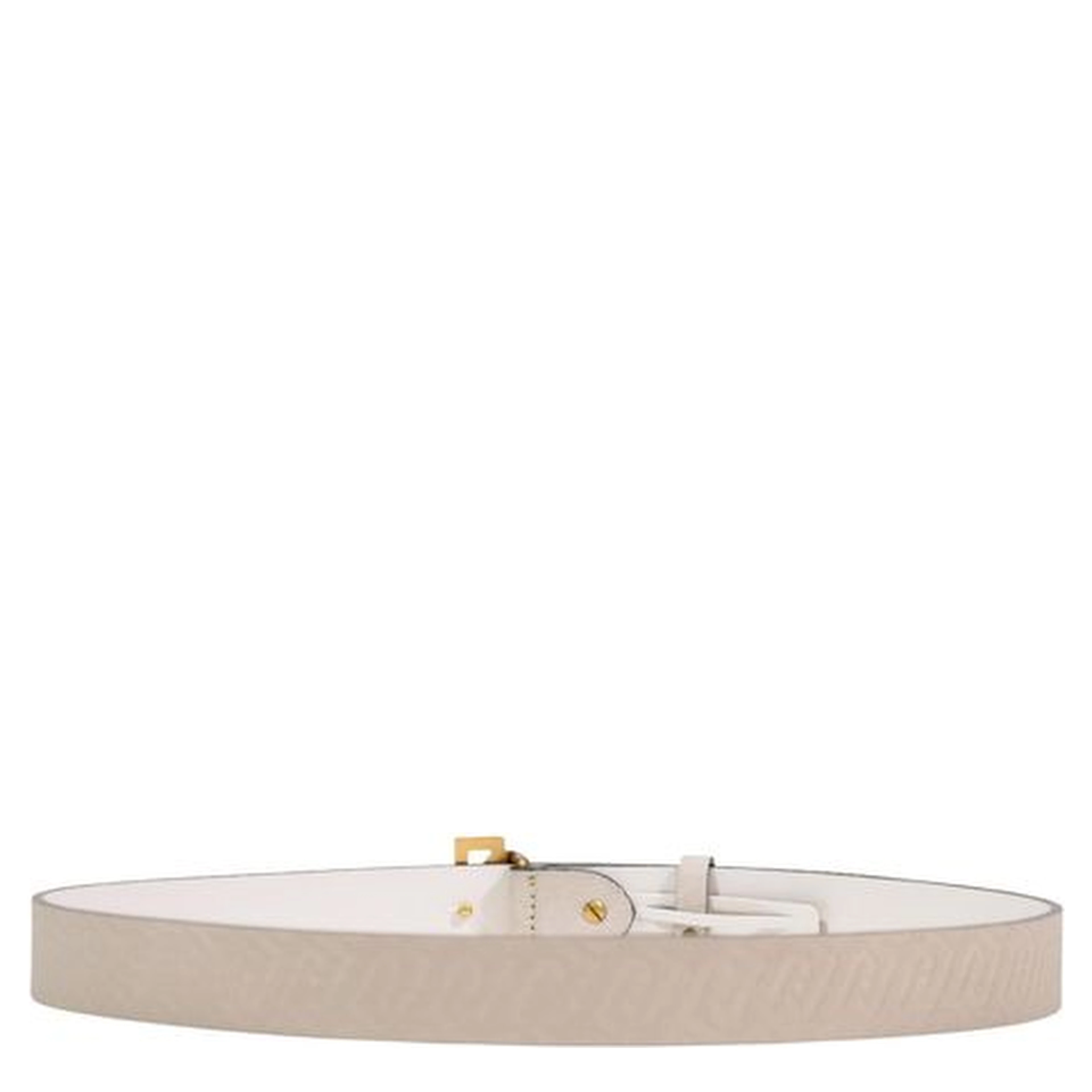 Gray Polyethylene Regular Belt