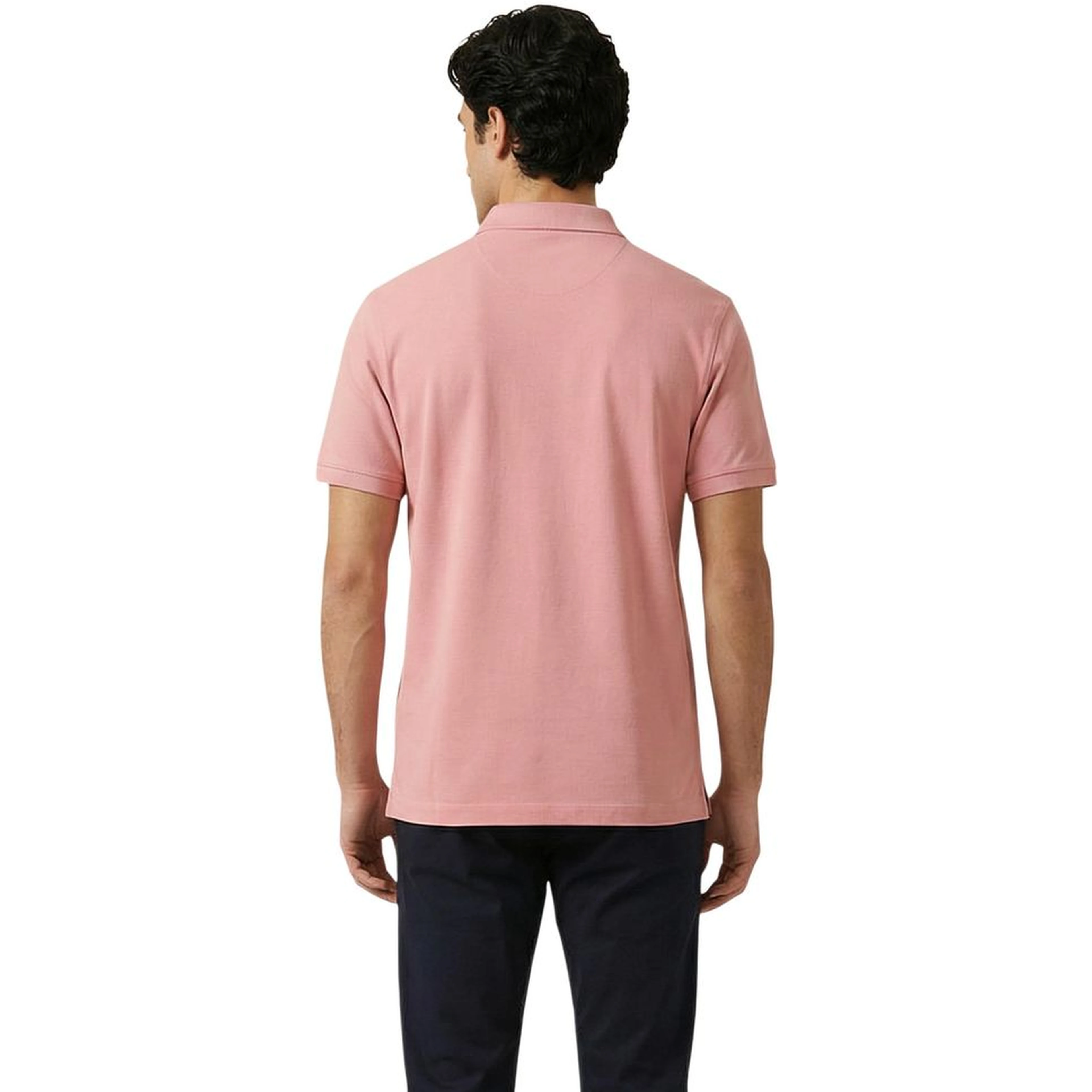 Multicolor Cotton Polo Shirt