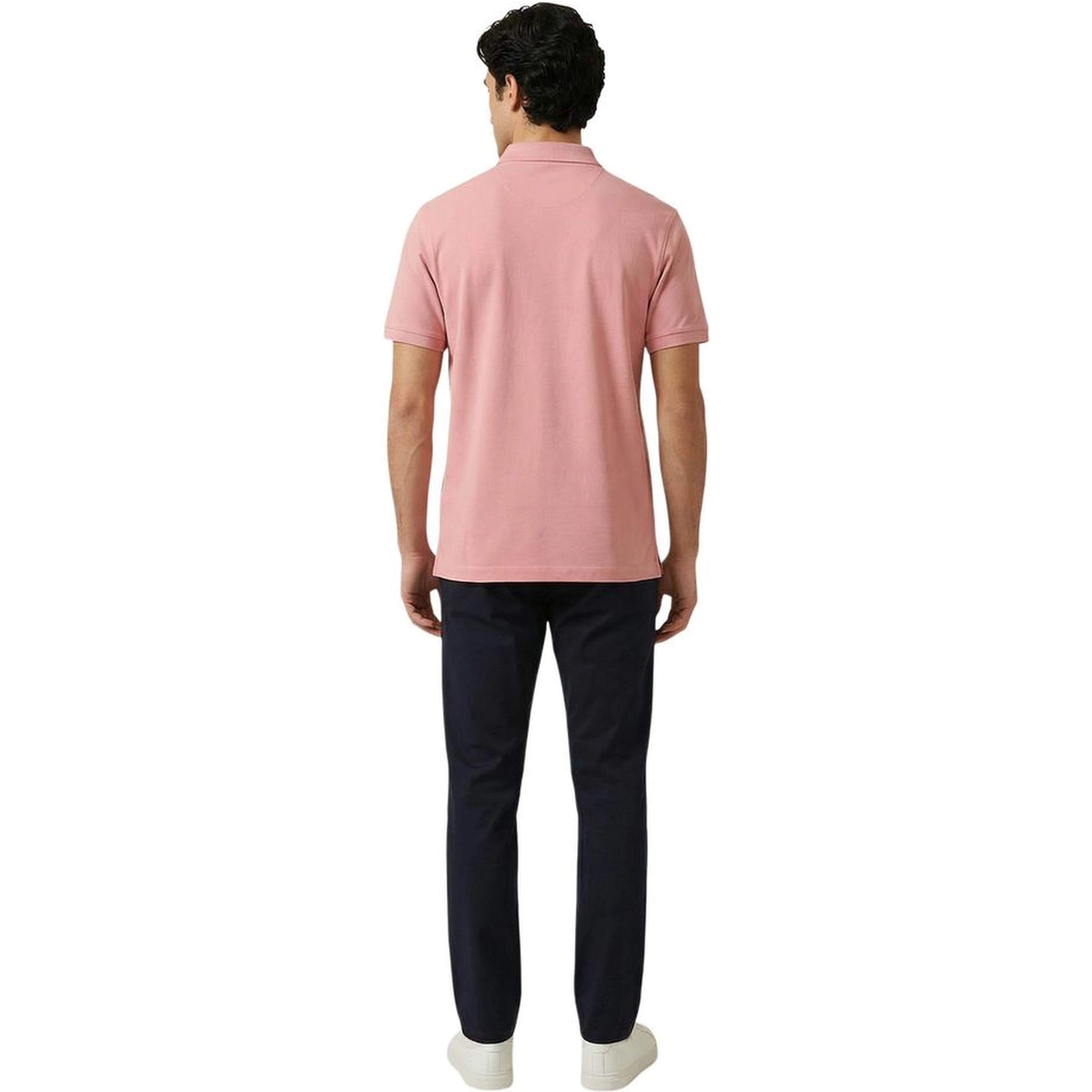 Multicolor Cotton Polo Shirt