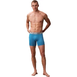 Gray Recycled Polyester Boxers