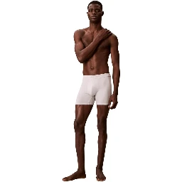 Gray Lyocell Boxers