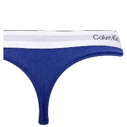 Blue Cotton Pantie