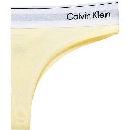 Beige Cotton Pantie