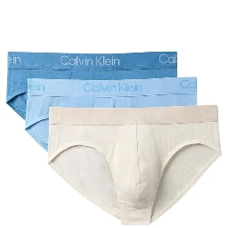 Beige Modal Briefs