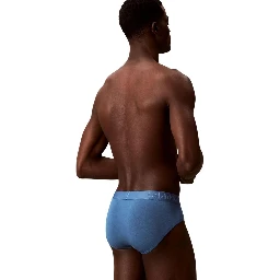Beige Modal Briefs