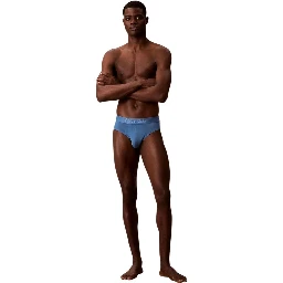 Beige Modal Briefs