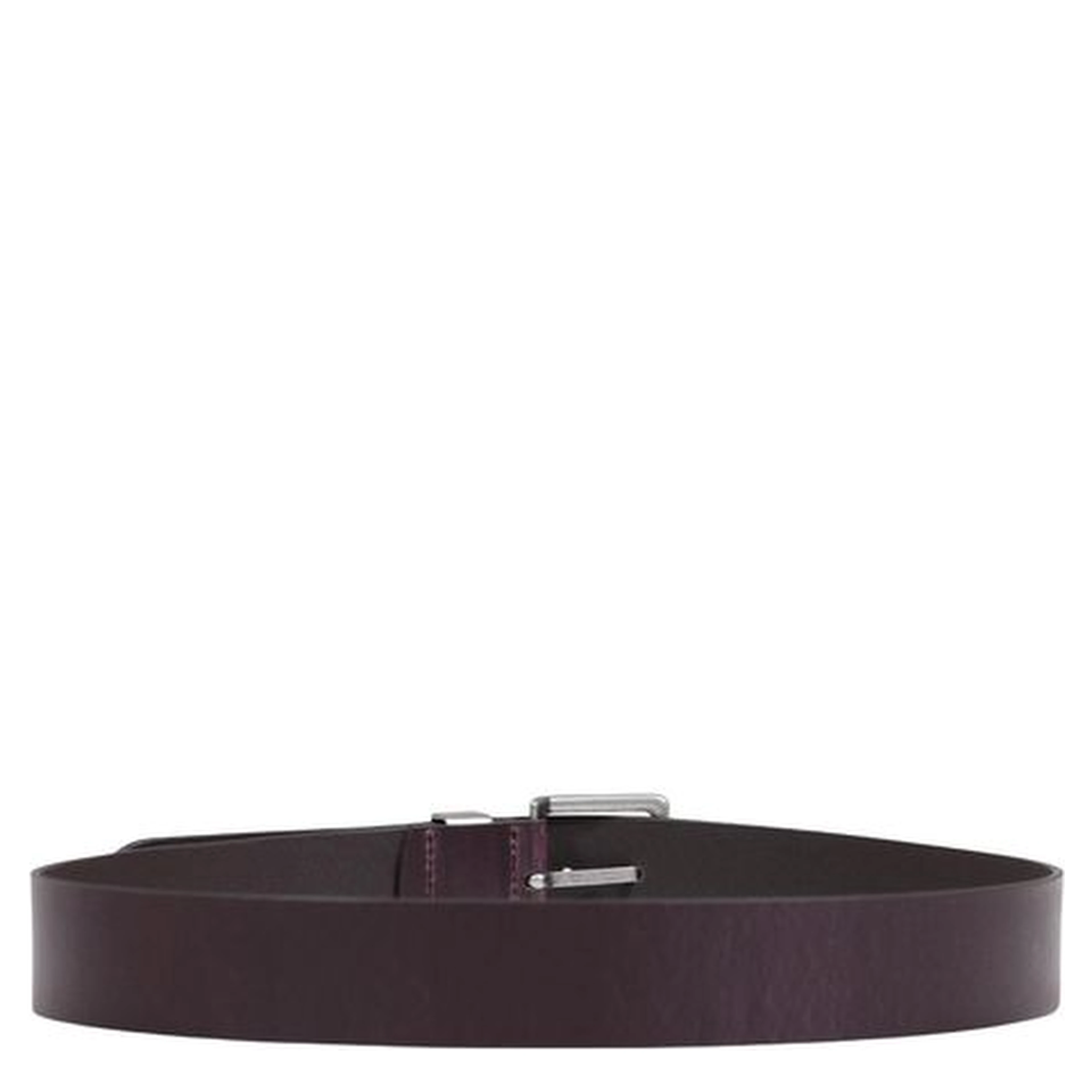 Brown Leather Regular Belt