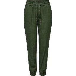 Green Viscose Casual Pants