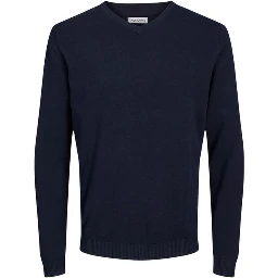 Blue Cotton Sweatshirt