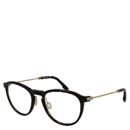 Brown Titanium Glasses (Frames)