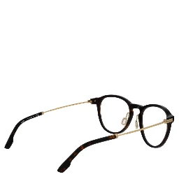Brown Titanium Glasses (Frames)