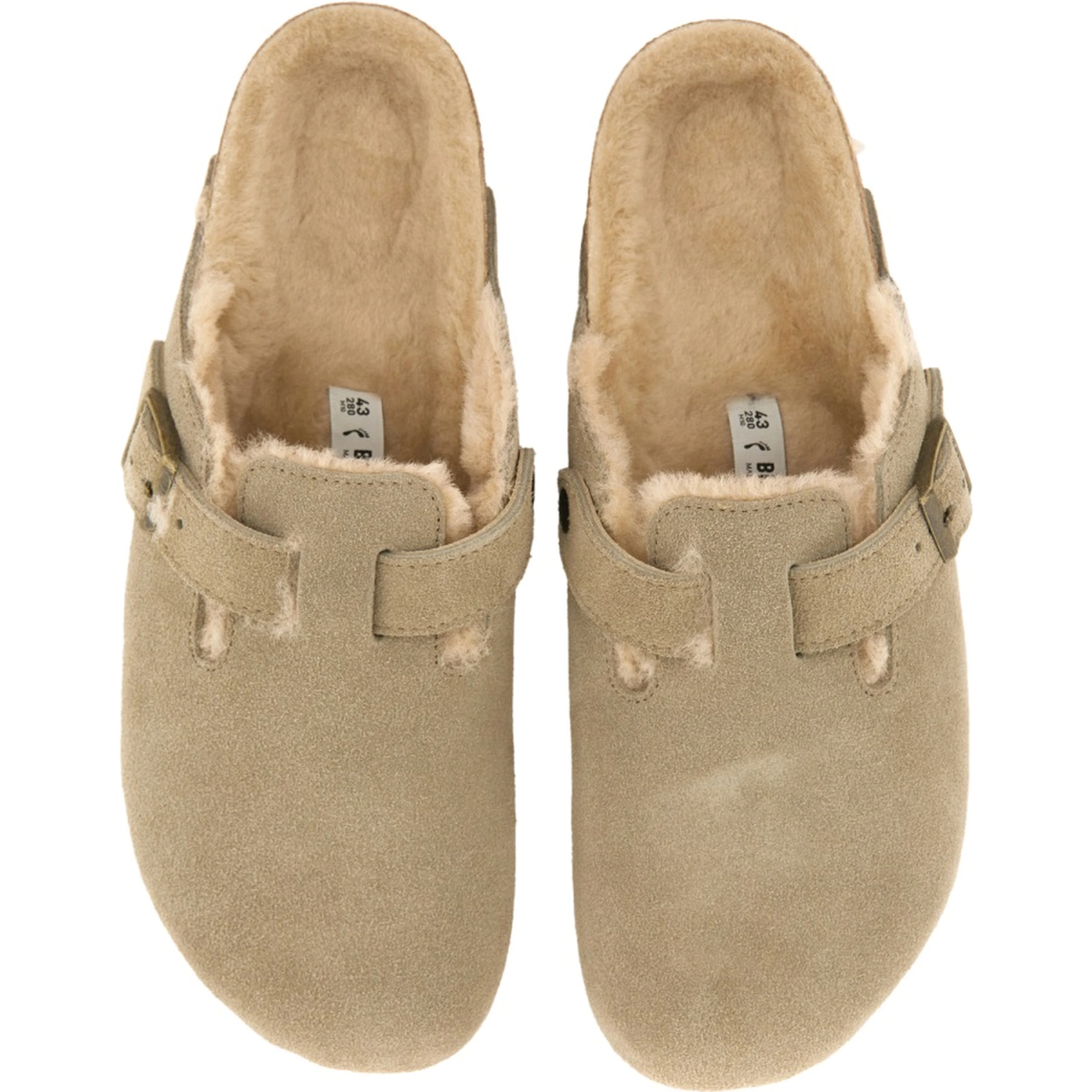 SABOT "BOSTON"