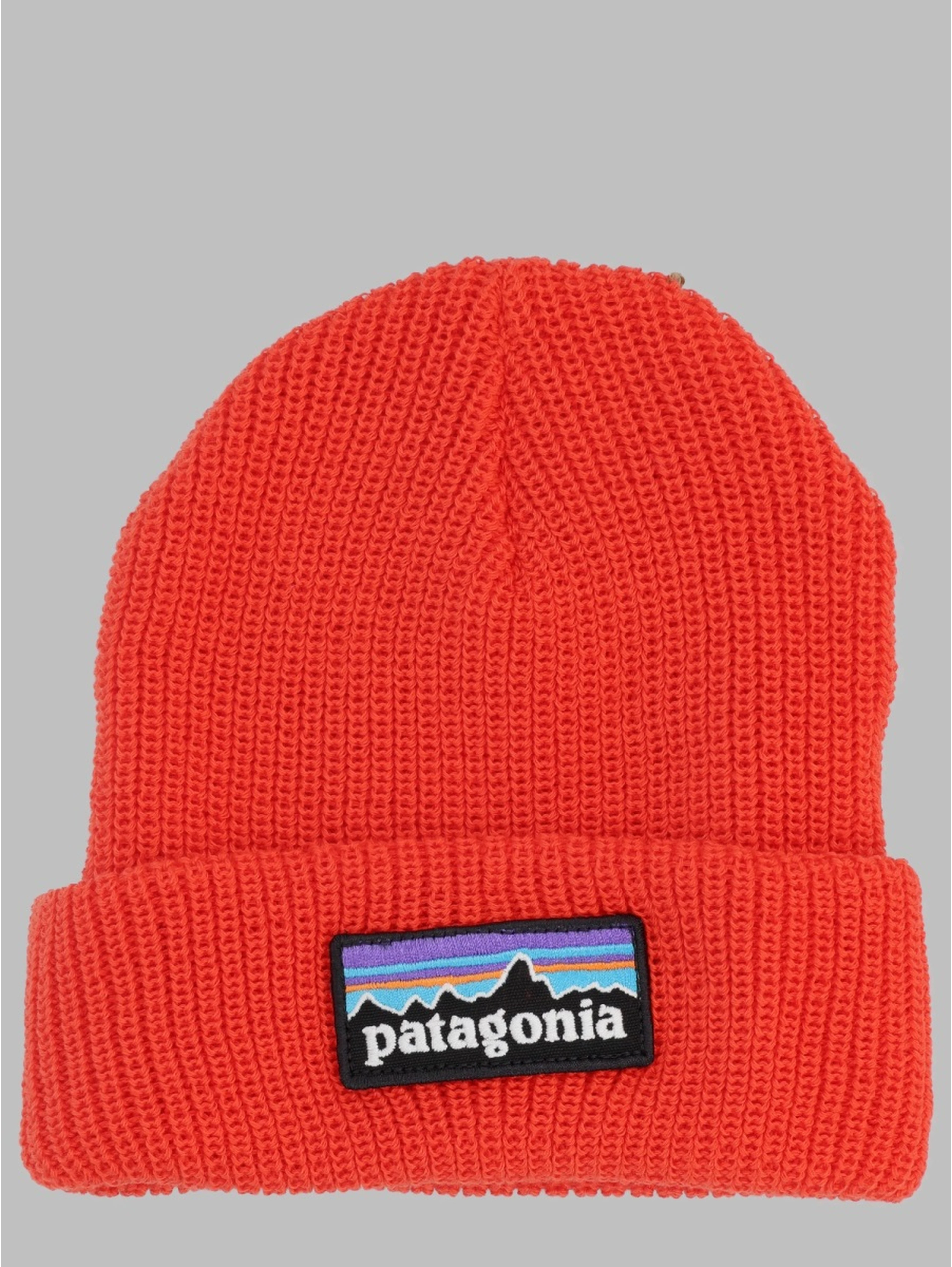 baby logo beanie