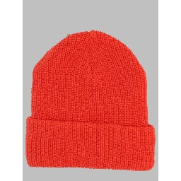 baby logo beanie