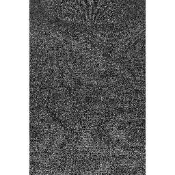 MAGLIA ANGELICA