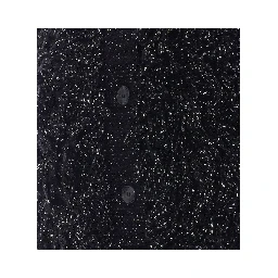 LIU JO Coats Black