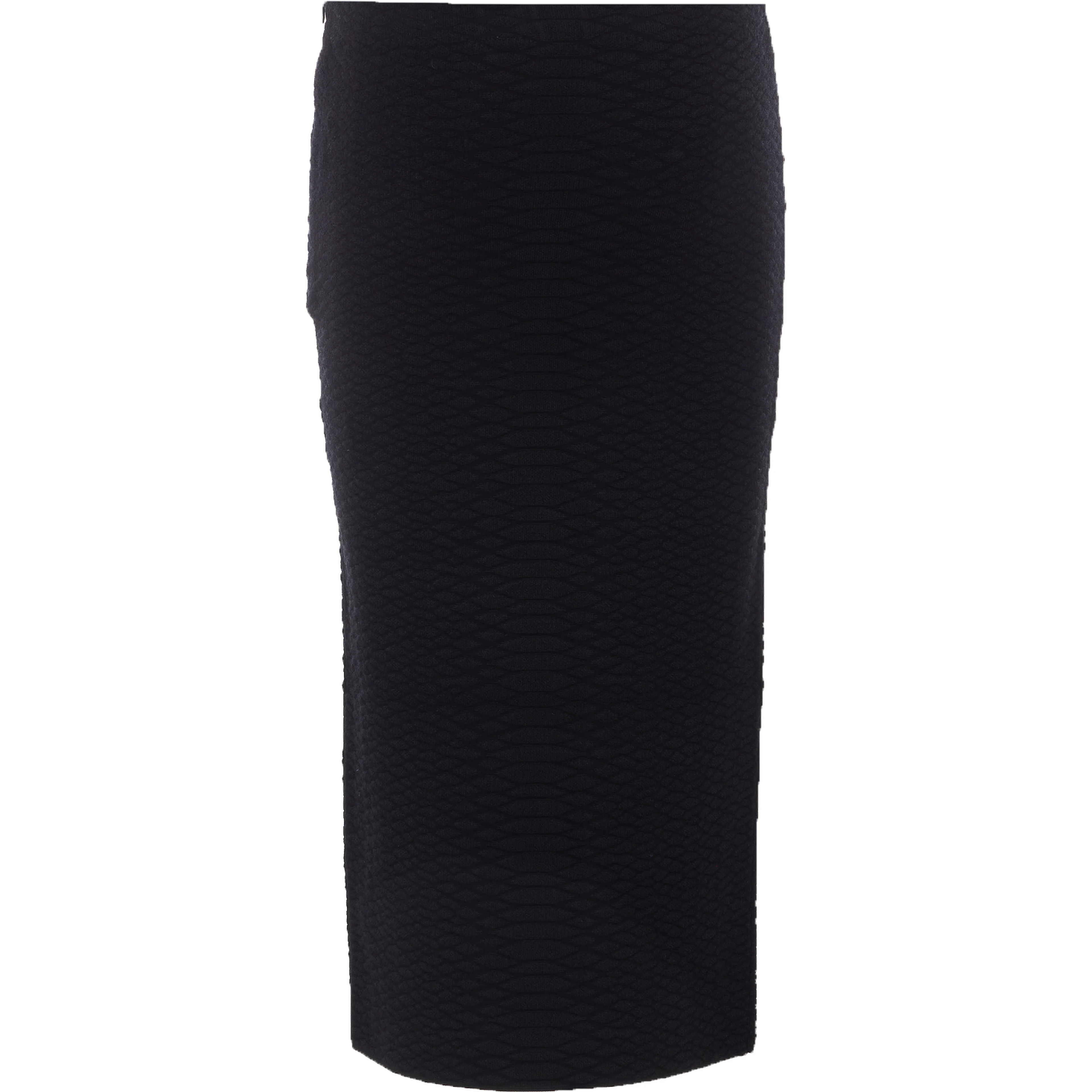 ELISABETTA FRANCHI Skirts Black
