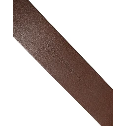 Brown Leather Bee Accent Metal Buckle Belt