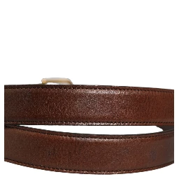 Brown Leather Gold Tone Metal Buckle Belt