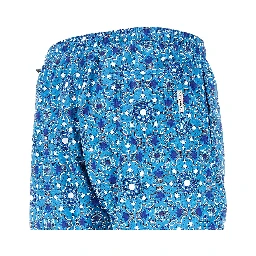 'Rapallo' printed swim shorts