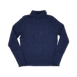 Stretch cotton turtleneck