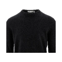 Cashmere crewneck sweater